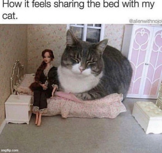 image tagged in repost | made w/ Imgflip meme maker