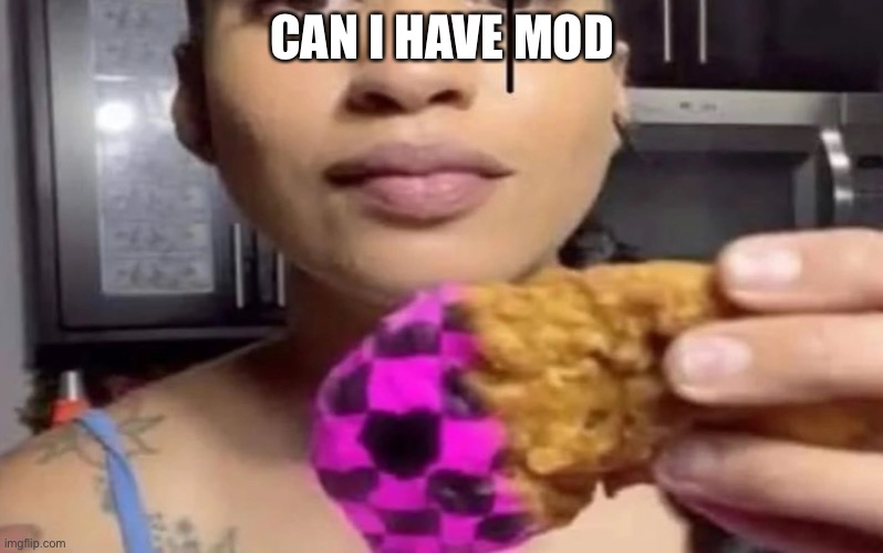 Error chicken nugget | CAN I HAVE MOD | image tagged in error chicken nugget | made w/ Imgflip meme maker