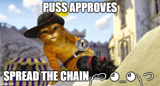Puss in boots | PUSS APPROVES SPREAD THE CHAIN༼ つ ◕_◕ ༽つ | image tagged in puss in boots | made w/ Imgflip meme maker