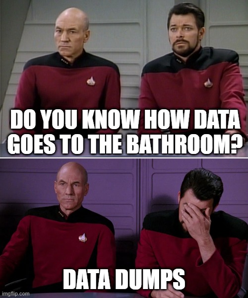 Pun data | DO YOU KNOW HOW DATA GOES TO THE BATHROOM? DATA DUMPS | image tagged in picard riker listening to a pun | made w/ Imgflip meme maker