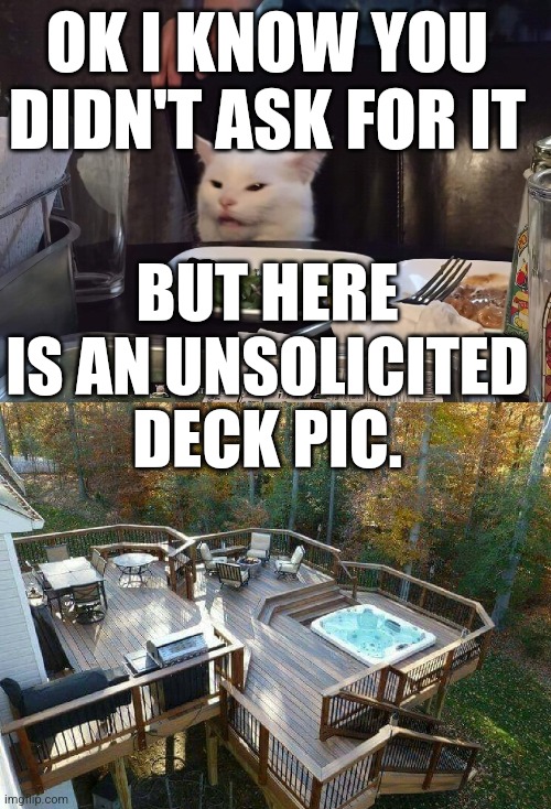 OK I KNOW YOU DIDN'T ASK FOR IT; BUT HERE IS AN UNSOLICITED DECK PIC. | image tagged in smudge the cat | made w/ Imgflip meme maker