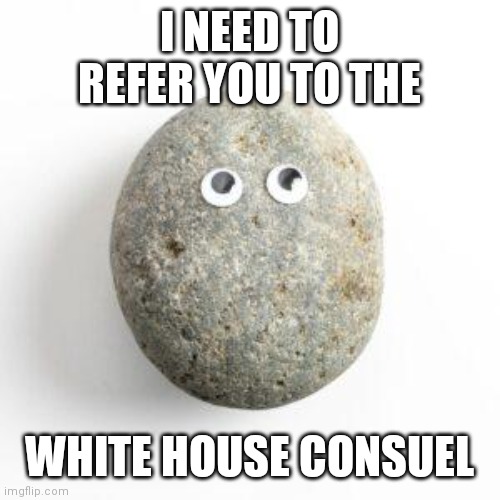 Karine Jean-Pierre | I NEED TO REFER YOU TO THE WHITE HOUSE CONSUEL | image tagged in karine jean-pierre | made w/ Imgflip meme maker