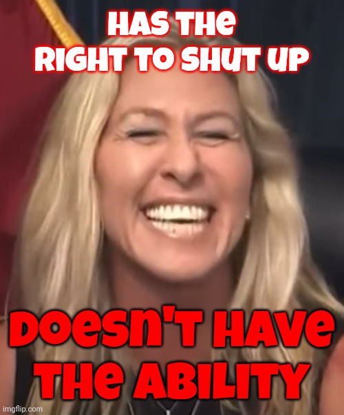 Make.  The.  Stupid.  Stop. | has the right to shut up; doesn't have the ability | image tagged in marjorie taylor greene,special kind of stupid,stupid,scumbag republicans,clown car republicans,memes | made w/ Imgflip meme maker