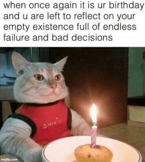 image tagged in memes,repost,funny,cats,birthday,relatable memes | made w/ Imgflip meme maker