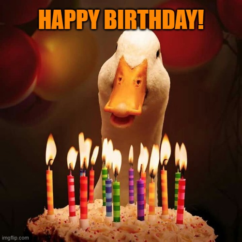 HAPPY BIRTHDAY! | image tagged in birthday,ducks,duck,quack,memes,funny | made w/ Imgflip meme maker