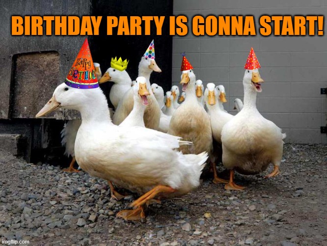 Birthday party is gonna start! |  BIRTHDAY PARTY IS GONNA START! | image tagged in birthday,memes,funny,ducks,quack,duck | made w/ Imgflip meme maker