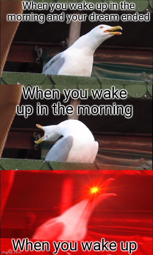 I hate all 3 of em | When you wake up in the morning and your dream ended; When you wake up in the morning; When you wake up | image tagged in inhaling pigeon | made w/ Imgflip meme maker