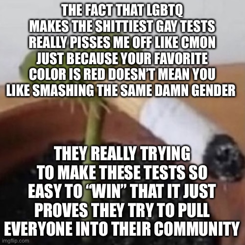 Plant smoking a cigarette | THE FACT THAT LGBTQ MAKES THE SHITTIEST GAY TESTS REALLY PISSES ME OFF LIKE CMON JUST BECAUSE YOUR FAVORITE COLOR IS RED DOESN’T MEAN YOU LIKE SMASHING THE SAME DAMN GENDER; THEY REALLY TRYING TO MAKE THESE TESTS SO EASY TO “WIN” THAT IT JUST PROVES THEY TRY TO PULL EVERYONE INTO THEIR COMMUNITY | image tagged in plant smoking a cigarette | made w/ Imgflip meme maker