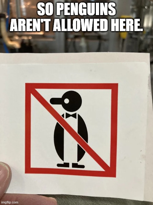 So Penguins aren't allowed here. | SO PENGUINS AREN'T ALLOWED HERE. | image tagged in penguins,memes,funny,signs,stupid signs,funny signs | made w/ Imgflip meme maker