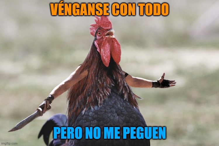 Gladiator Rooster | VÉNGANSE CON TODO; PERO NO ME PEGUEN | image tagged in gladiator rooster | made w/ Imgflip meme maker