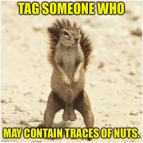 Nuts | TAG SOMEONE WHO; MAY CONTAIN TRACES OF NUTS. | image tagged in deez nuts | made w/ Imgflip meme maker