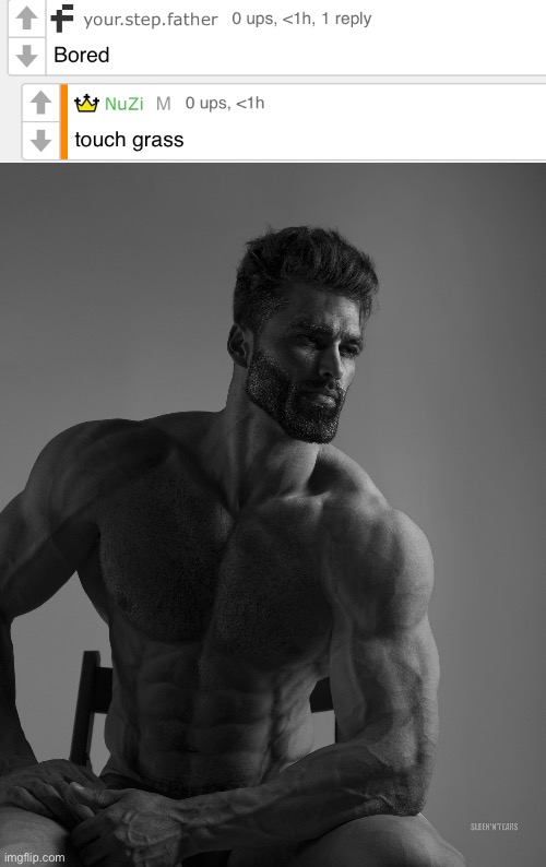 image tagged in giga chad | made w/ Imgflip meme maker