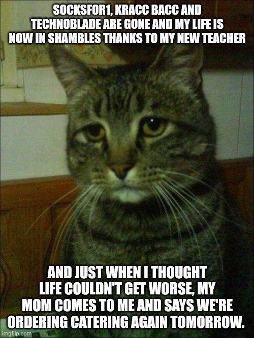 help me please | SOCKSFOR1, KRACC BACC AND TECHNOBLADE ARE GONE AND MY LIFE IS NOW IN SHAMBLES THANKS TO MY NEW TEACHER; AND JUST WHEN I THOUGHT LIFE COULDN'T GET WORSE, MY MOM COMES TO ME AND SAYS WE'RE ORDERING CATERING AGAIN TOMORROW. | image tagged in memes,depressed cat | made w/ Imgflip meme maker