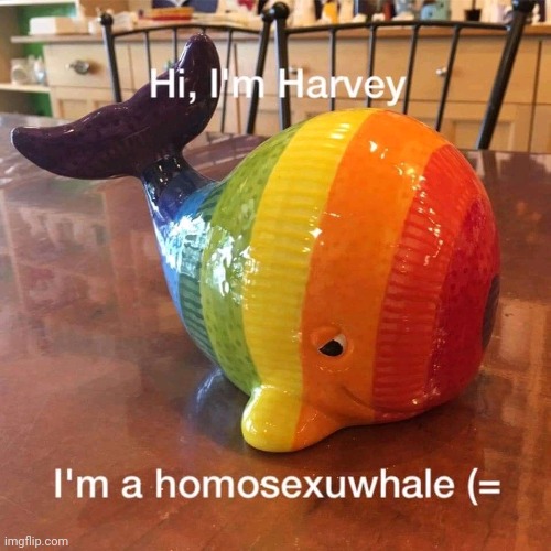 Hi Harvey :) | image tagged in whale,lgbtq,puns | made w/ Imgflip meme maker