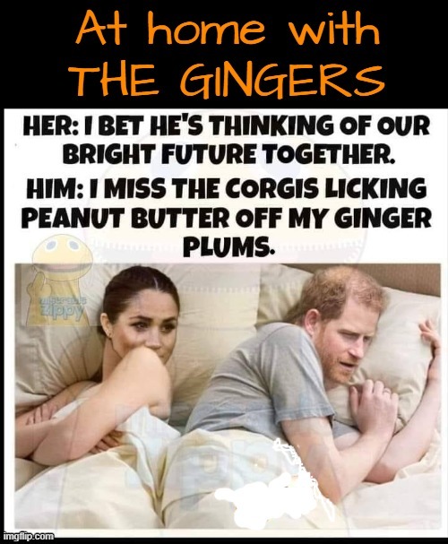 At Home ! | image tagged in gingers | made w/ Imgflip meme maker