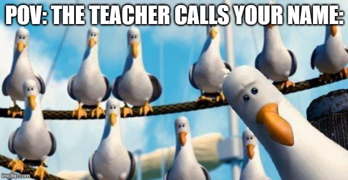 Class Moment | POV: THE TEACHER CALLS YOUR NAME: | image tagged in nemo birds | made w/ Imgflip meme maker