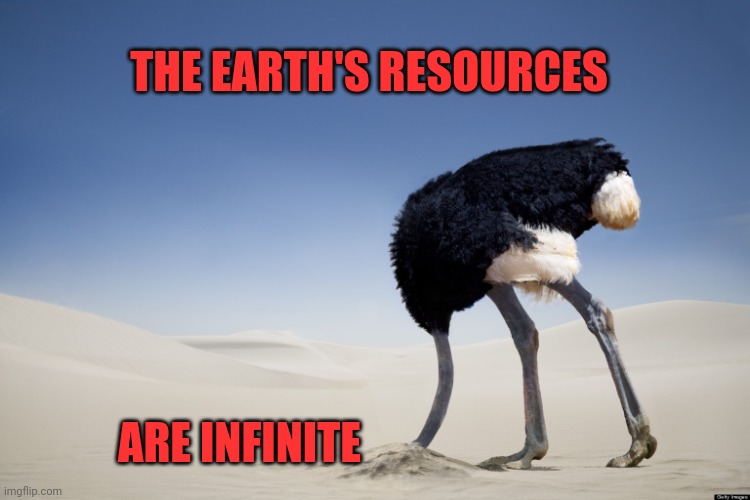 Ostrich head in sand | THE EARTH'S RESOURCES ARE INFINITE | image tagged in ostrich head in sand | made w/ Imgflip meme maker