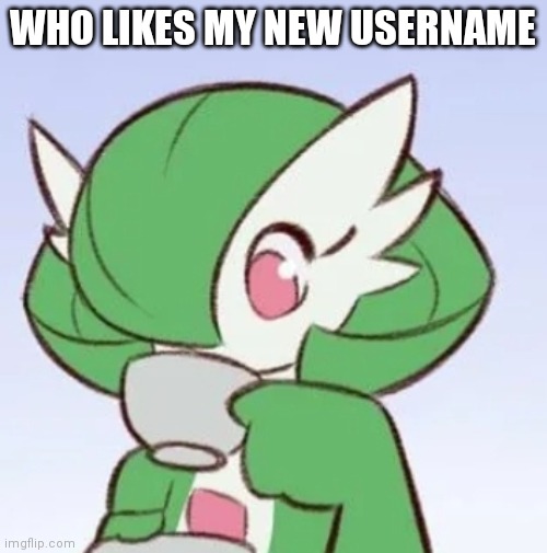 Hello chat | WHO LIKES MY NEW USERNAME | image tagged in gardevoir sipping tea | made w/ Imgflip meme maker