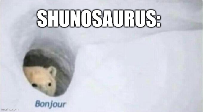 Bonjour Bear | SHUNOSAURUS: | image tagged in bonjour bear | made w/ Imgflip meme maker