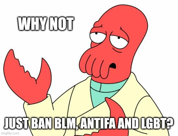 Futurama Zoidberg Meme | WHY NOT JUST BAN BLM, ANTIFA AND LGBT? | image tagged in memes,futurama zoidberg | made w/ Imgflip meme maker