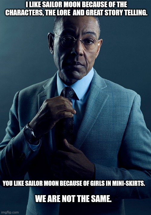 Gus Fring we are not the same | I LIKE SAILOR MOON BECAUSE OF THE CHARACTERS, THE LORE  AND GREAT STORY TELLING. YOU LIKE SAILOR MOON BECAUSE OF GIRLS IN MINI-SKIRTS. WE ARE NOT THE SAME. | image tagged in gus fring we are not the same | made w/ Imgflip meme maker