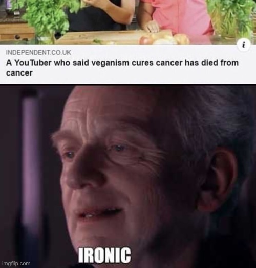 image tagged in palpatine ironic | made w/ Imgflip meme maker