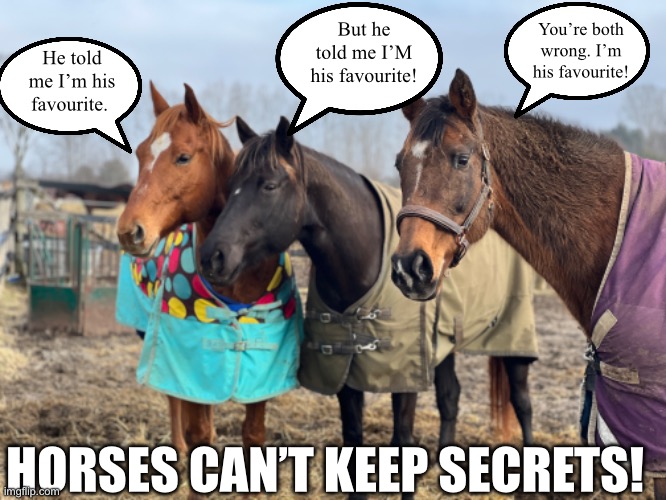 Favourite horse? | You’re both wrong. I’m his favourite! But he told me I’M his favourite! He told me I’m his favourite. HORSES CAN’T KEEP SECRETS! | image tagged in equestrian | made w/ Imgflip meme maker