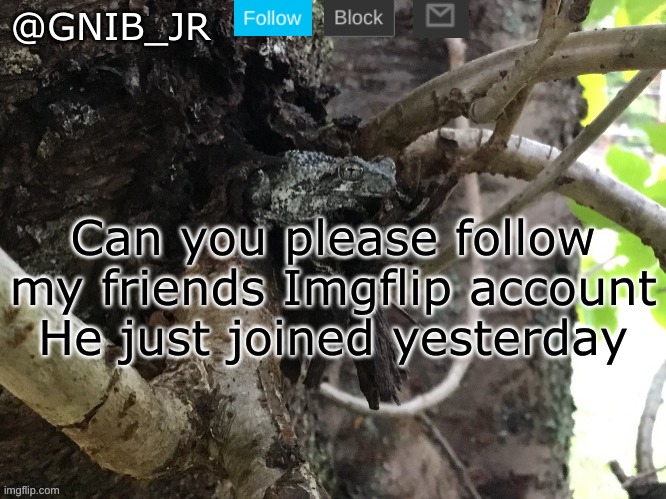 Link in comments | Can you please follow my friends Imgflip account
He just joined yesterday | image tagged in gnib_jr's main template | made w/ Imgflip meme maker