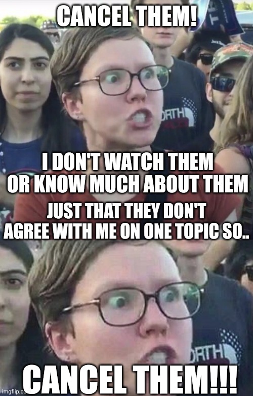 CANCEL THEM! CANCEL THEM!!! I DON'T WATCH THEM OR KNOW MUCH ABOUT THEM JUST THAT THEY DON'T AGREE WITH ME ON ONE TOPIC SO.. | image tagged in triggered feminist,triggered liberal | made w/ Imgflip meme maker