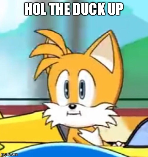 Tails hold up | HOL THE DUCK UP | image tagged in tails hold up | made w/ Imgflip meme maker
