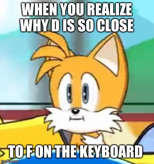 They don’t want u saying it | WHEN YOU REALIZE WHY D IS SO CLOSE; TO F ON THE KEYBOARD | image tagged in tails hold up | made w/ Imgflip meme maker