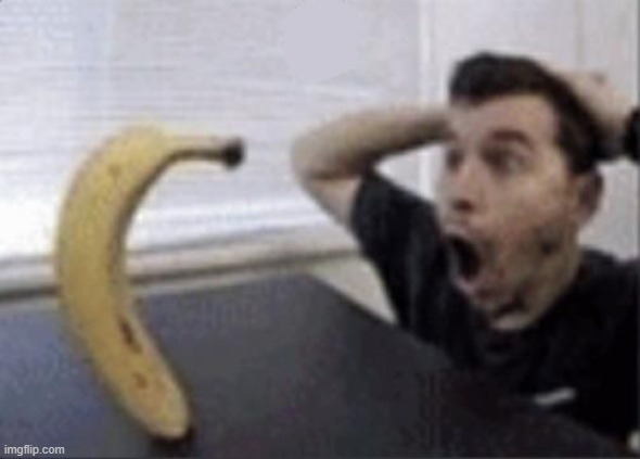 guy and banana meme | image tagged in guy and banana meme | made w/ Imgflip meme maker