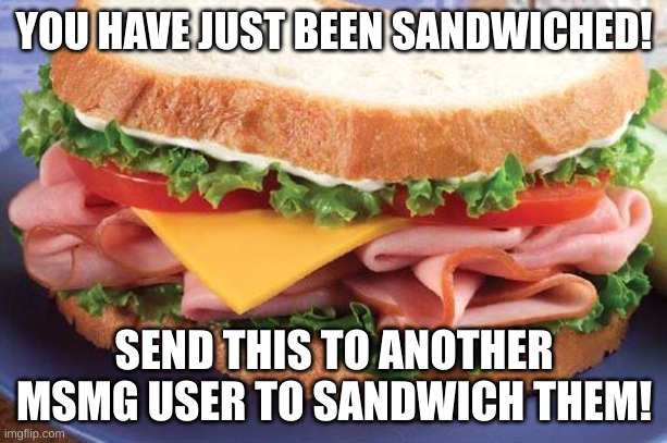 dewit | YOU HAVE JUST BEEN SANDWICHED! SEND THIS TO ANOTHER MSMG USER TO SANDWICH THEM! | image tagged in sandwich | made w/ Imgflip meme maker