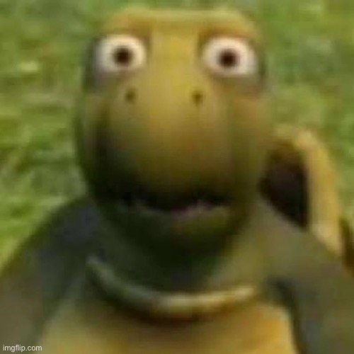 Me rn | image tagged in that turtle from over the hedge | made w/ Imgflip meme maker