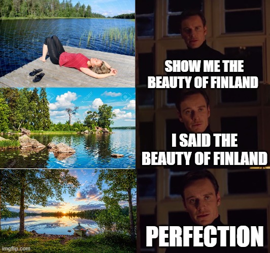 perfection | SHOW ME THE BEAUTY OF FINLAND; I SAID THE BEAUTY OF FINLAND; PERFECTION | image tagged in perfection | made w/ Imgflip meme maker