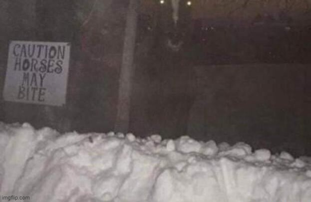 image tagged in horror | made w/ Imgflip meme maker