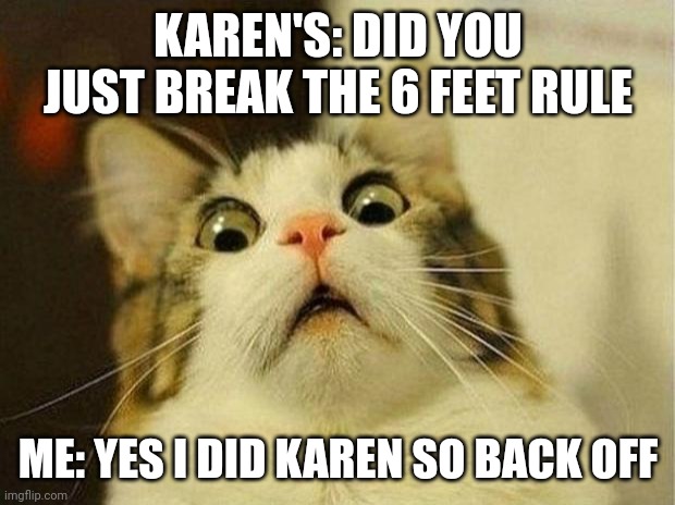 Scared Cat Meme | KAREN'S: DID YOU JUST BREAK THE 6 FEET RULE; ME: YES I DID KAREN SO BACK OFF | image tagged in memes,scared cat | made w/ Imgflip meme maker