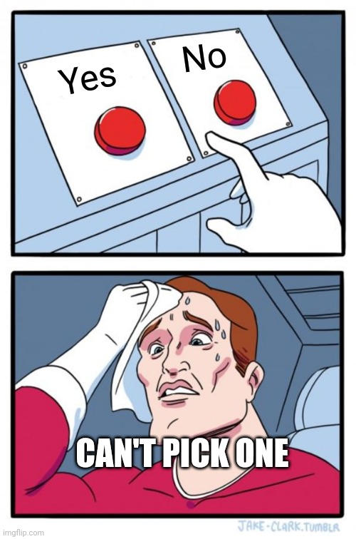 Two Buttons Meme | No; Yes; CAN'T PICK ONE | image tagged in memes,two buttons | made w/ Imgflip meme maker