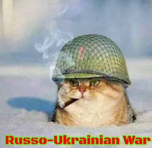 War Cat | Russo-Ukrainian War | image tagged in war cat,slavic,russo-ukrainian war | made w/ Imgflip meme maker