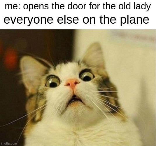 ahhhh | everyone else on the plane; me: opens the door for the old lady | image tagged in memes,scared cat | made w/ Imgflip meme maker