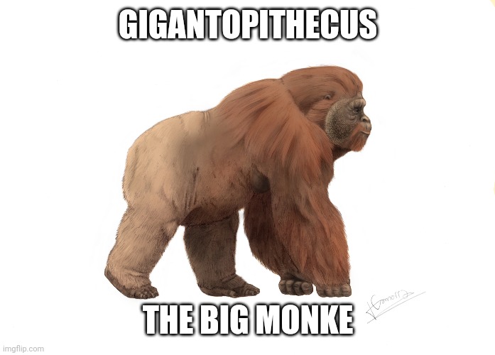 @Stream Mood | GIGANTOPITHECUS; THE BIG MONKE | made w/ Imgflip meme maker