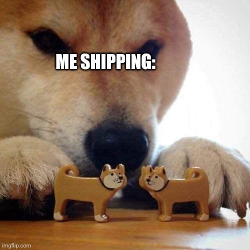 Anyone understand? | ME SHIPPING: | image tagged in dog now kiss,understand | made w/ Imgflip meme maker