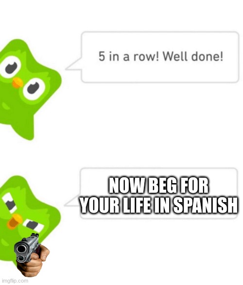 BEG FOR YOUR LIFE IN SPANISH | NOW BEG FOR YOUR LIFE IN SPANISH | image tagged in duolingo 5 in a row,duolingo bird,duolingo gun | made w/ Imgflip meme maker