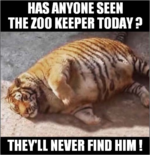 Zoo Has Another Mystery Disappearance ! | HAS ANYONE SEEN THE ZOO KEEPER TODAY ? THEY'LL NEVER FIND HIM ! | image tagged in zoo,tiger,keeper,disappeared,dark humour | made w/ Imgflip meme maker