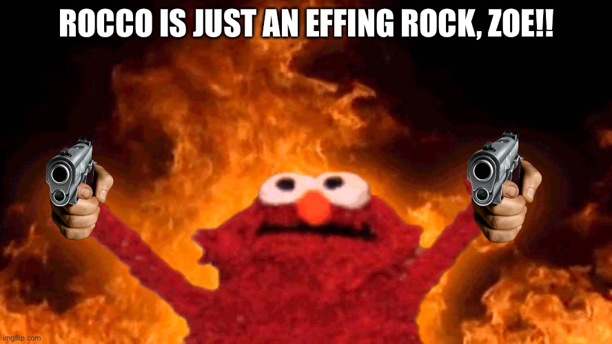 Rocco | ROCCO IS JUST AN EFFING ROCK, ZOE!! | image tagged in elmo fire | made w/ Imgflip meme maker