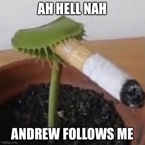 Bros stalking me still | AH HELL NAH; ANDREW FOLLOWS ME | image tagged in plant smoking a cigarette | made w/ Imgflip meme maker
