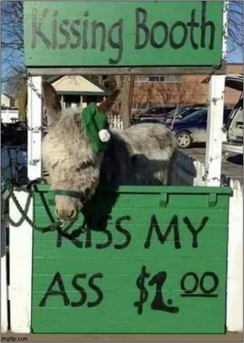 A Bargain ! | image tagged in donkey,ass,kissing booth | made w/ Imgflip meme maker
