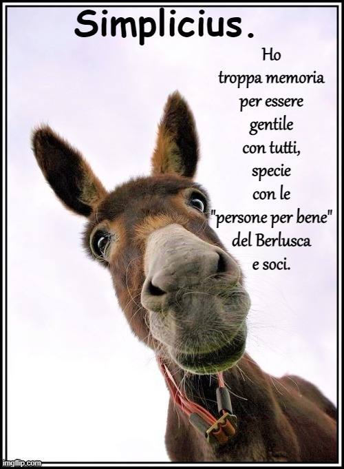 Ho troppa memoria
per essere gentile
con tutti, specie con le
"persone per bene"
del Berlusca
e soci. | made w/ Imgflip meme maker