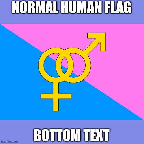 NORMAL HUMAN FLAG; BOTTOM TEXT | made w/ Imgflip meme maker