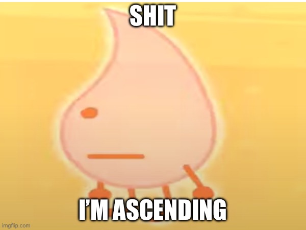 SHIT; I’M ASCENDING | image tagged in tpot,bfb,memes | made w/ Imgflip meme maker